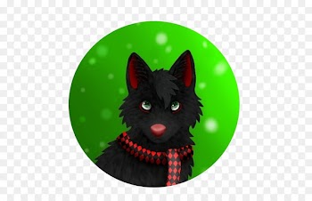 Whiskers, Cat, Christmas Ornament, Black Cat, Green PNG