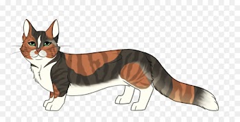 Whiskers Cat Dog breed Red fox - cat 