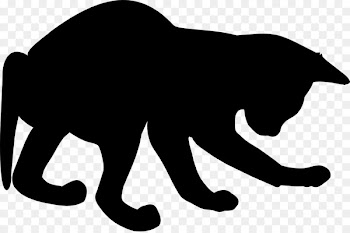Whiskers Cat Dog Canidae Mammal -  