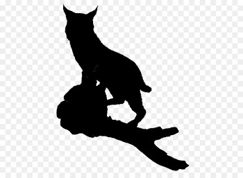 Whiskers Cat Dog Canidae Mammal -  