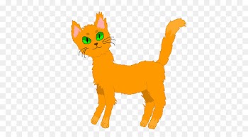 Whiskers Cat Dog Canidae Mammal - cat 