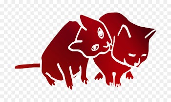 Whiskers Cat Dog Illustration Canidae -  