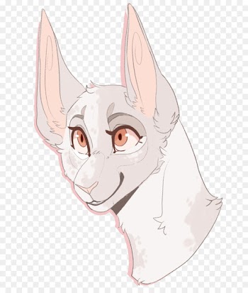 Whiskers Cat Dog Illustration Canidae - cat 