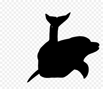 Whiskers Cat Dog Mammal Canidae -  