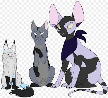 Whiskers Cat Dog Mammal Canidae - cat 