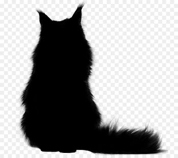 Whiskers Cat Dog Mammal Fur -  