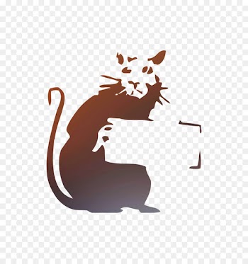 Whiskers Cat Dog Rat Mammal -  