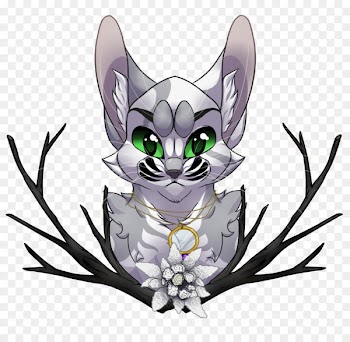 Whiskers, Cat, Dog, Snout PNG