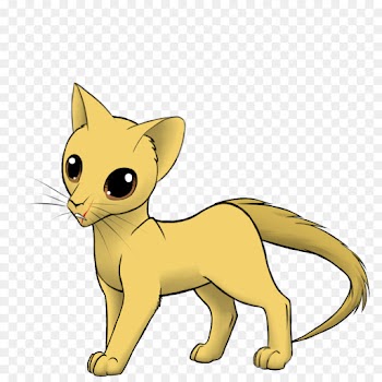 Whiskers, Cat, Domestic Shorthaired Cat, Mammal, Vertebrate PNG