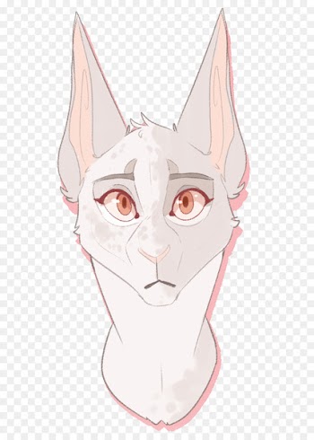 Whiskers Cat Illustration Ear Cheek - cat 