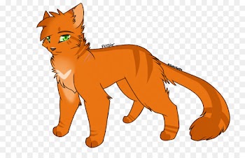 Whiskers Cat Lion Art Red fox - cat 