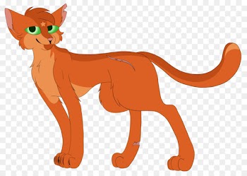 Whiskers Cat Lion Red fox Macropods - cat 