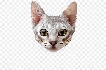 Whiskers Cat Portable Network Graphics Clip art Image - cat 