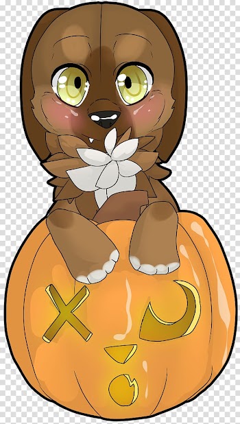 Whiskers Cat Pumpkin , Cat transparent background PNG clipart