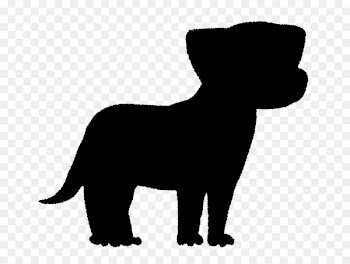Whiskers Cat Puppy Dog breed -  