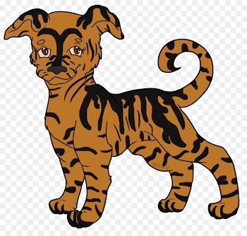 Whiskers Cat Puppy Tiger Dog - cat 