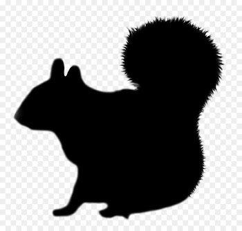 Whiskers Cat Rat Squirrel Bear -  