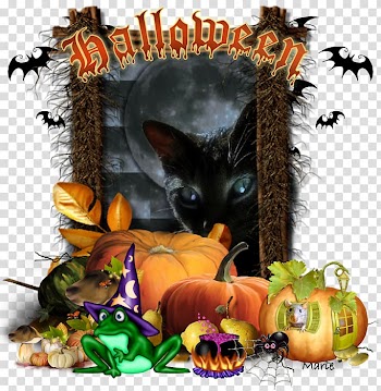 Whiskers Cat Tales of the grotesque and arabesque Halloween Fauna, Cat transparent background PNG clipart