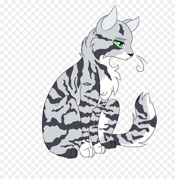 Whiskers Cat Tiger Dog Horse - cat 