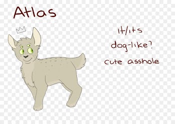 Whiskers Dog Cat Deer Mammal - dog 