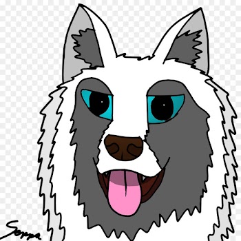 Whiskers, Dog, Cat, Head, Snout PNG