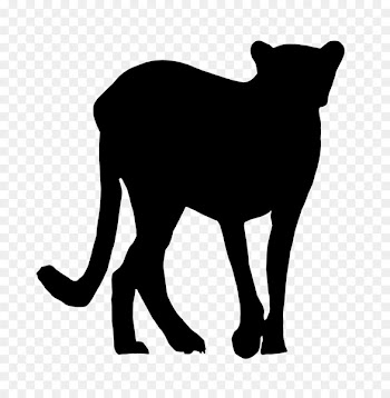 Whiskers Dog Cat Mammal Snout -  