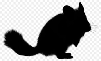 Whiskers Domestic rabbit Cat Squirrel Fur -  
