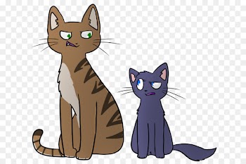 Whiskers, Domestic Shorthaired Cat, Cat, Mammal PNG