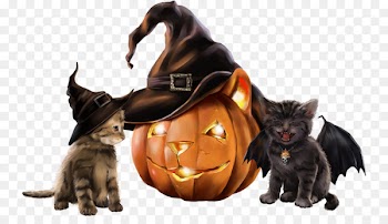 Whiskers Kitten Black cat Bombay cat Halloween - kitten 