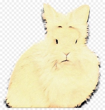 Whiskers, Kitten, Cat, White, Yellow PNG