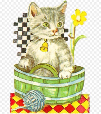 Whiskers Kitten Domestic short-haired cat Dog - kitten 