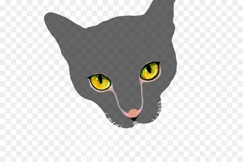 Whiskers, Korat, Domestic Shorthaired Cat, Cat, Mammal PNG
