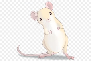 Whiskers Nose Computer mouse Carnivores Fauna - altair cartoon 