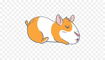 Whiskers Pig Illustration Red fox - pig 