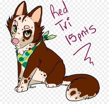 Whiskers Puppy Dog breed Cat - puppy 