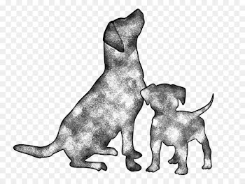 Whiskers Puppy Kitten Dog breed Cat - puppy 