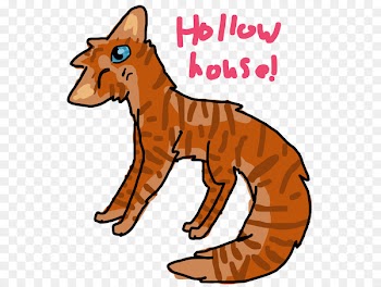 Whiskers Red fox Clip art Cat Snout - clarify frame 