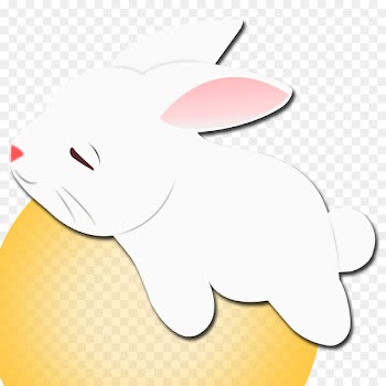 Whiskers Snout Clip art Character Line - annotate ornament 