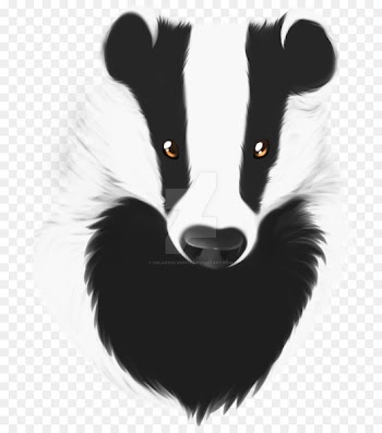 Whiskers Snout Fur - badger streamer 
