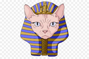 Whiskers T-shirt Women's Lightweight Cotton Zip-Up Hoodie Sphynx cat - shirt 
