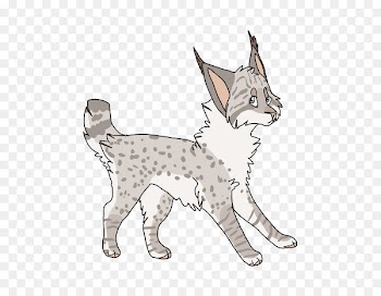 Whiskers Tabby cat Domestic short-haired cat Wildcat - cat 