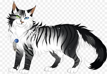 Whiskers, Tiger, Cat, Mammal, Vertebrate PNG
