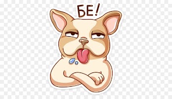 Whiskers, Vk, Sticker, Cartoon, Nose PNG
