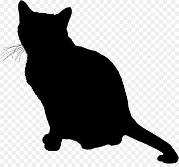 Whiskers Wildcat Domestic short-haired cat Dog -  