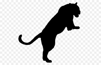 Whiskers Wildcat Mammal Dog -  