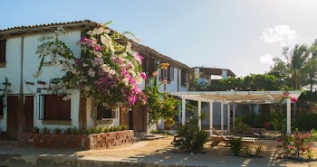 White 2-storey House