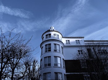 White 4-storey Mansion Surrounded by Bald Trees