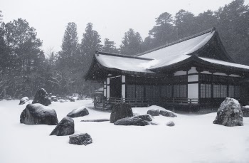 White a\And Brown House Covered With Snow