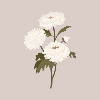 White aesthetic flower sticker, chrysanthemum | Free Vector Illustration - rawpixel