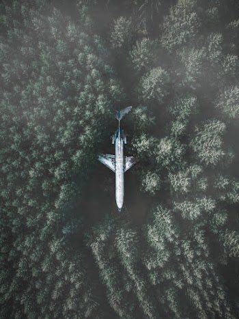 White Airliner in Forest